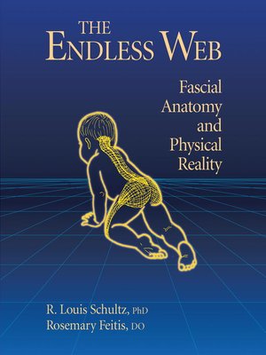 cover image of The Endless Web